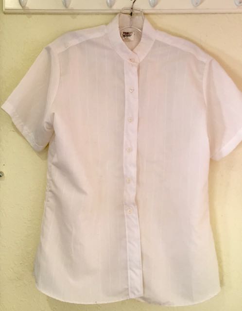 Short Sleeved Show Shirt, size 40. $15